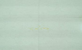s21_img02 청소기로 쓱쓱, 물걸레도 OK